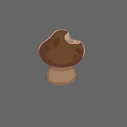 mushroom_back